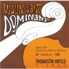 Juego completo de cuerdas para violín Thomastik Dominant CDJ
