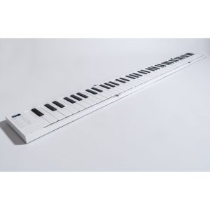 Teclado carry on 88